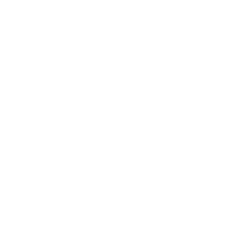 Logo ESAS Automotive